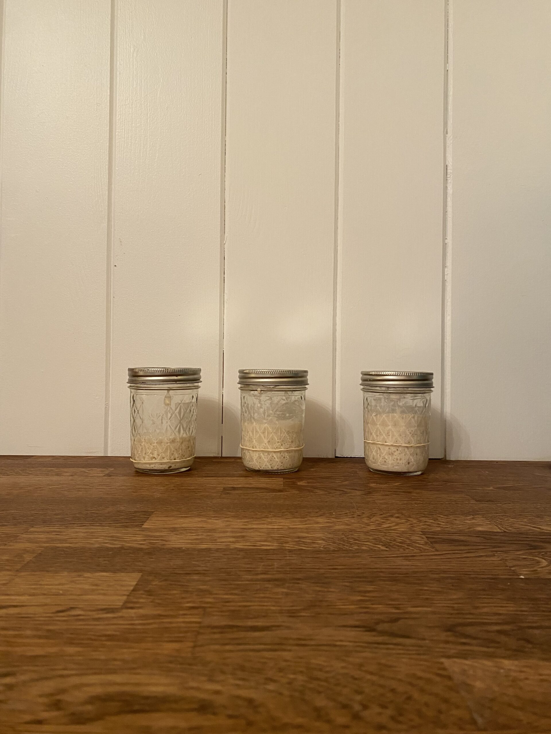 Sourdough Starter Feeding Ratios