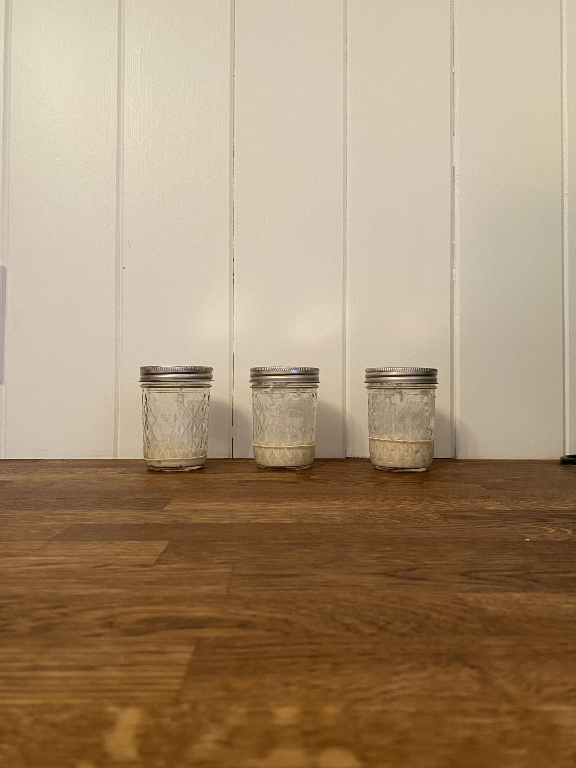 Sourdough Starter Feeding Ratios