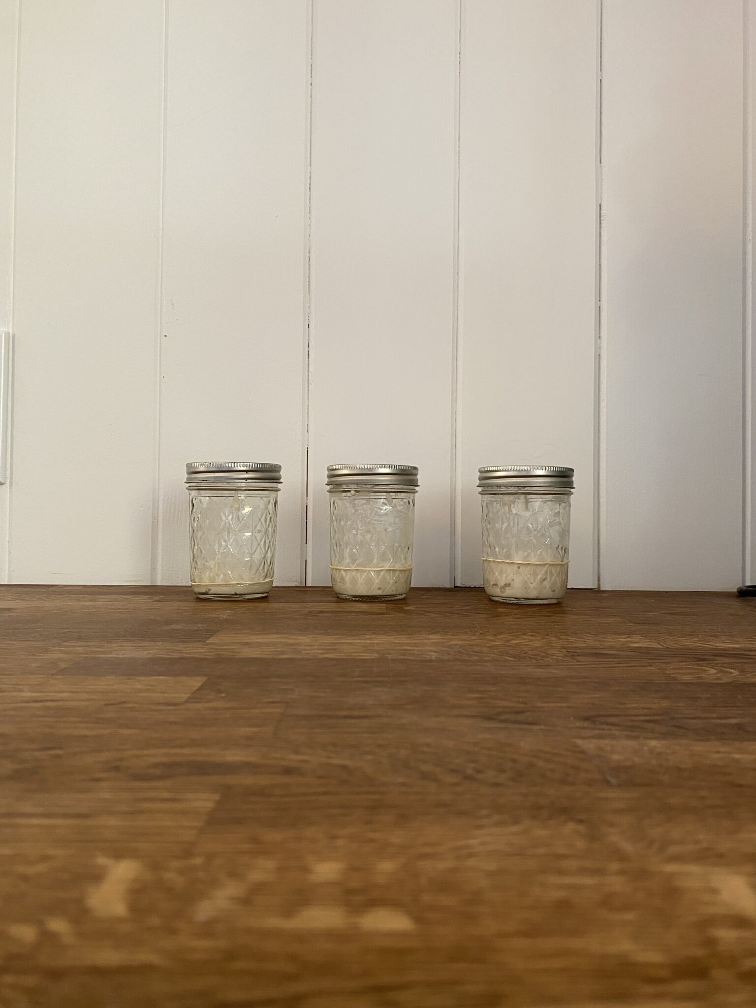 Sourdough Starter Feeding Ratios