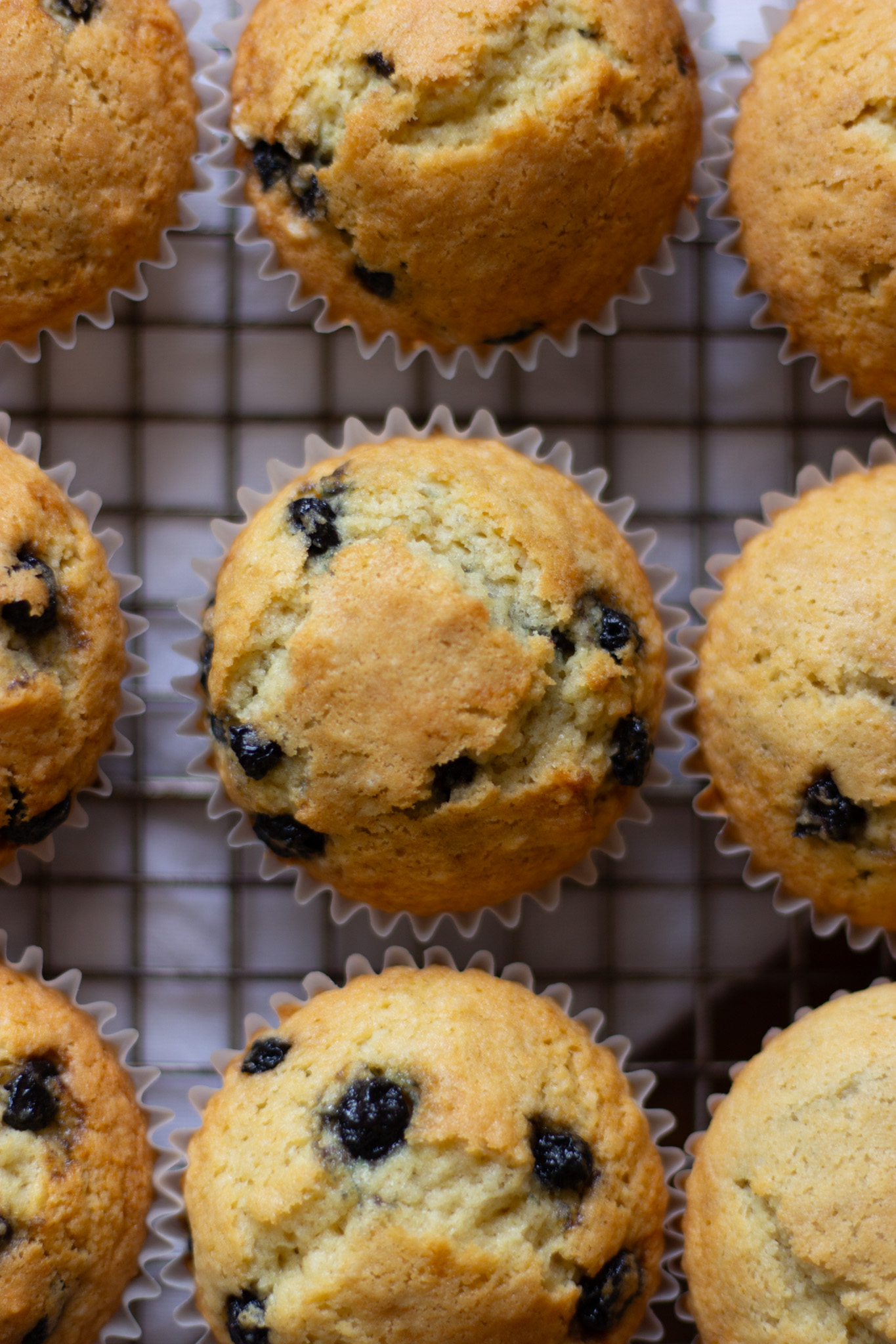 Close up of freshly baked sourdough discard blueberry muffin cooling on wire rack.