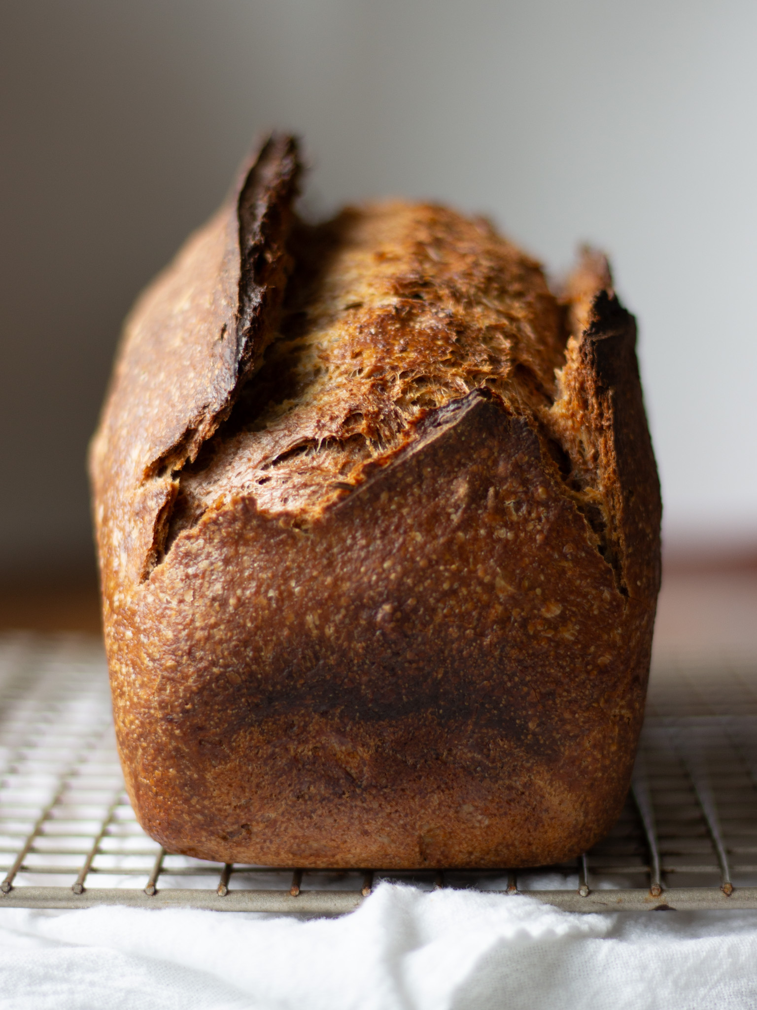The baked loaf, with a giant ear.